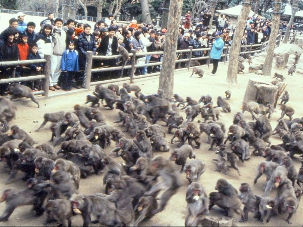 Kannawaso Beppu Exterior photo